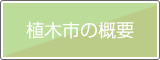 大阪緑化会　植木市の概要