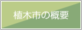 大阪緑化会　植木市の概要
