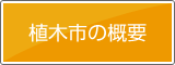 大阪緑化会　植木市の概要