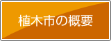 大阪緑化会　植木市の概要