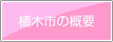 大阪緑化会　植木市の概要