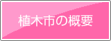 大阪緑化会　植木市の概要