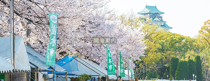 植木市へようこそ｜大阪緑化会｜植木・庭石・各種鉢物・本格盆栽