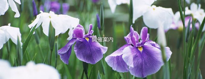 開催案内