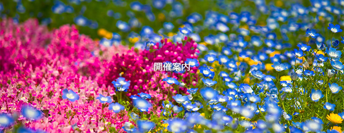 開催案内