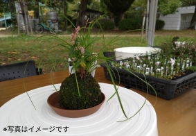 花と緑の講習会