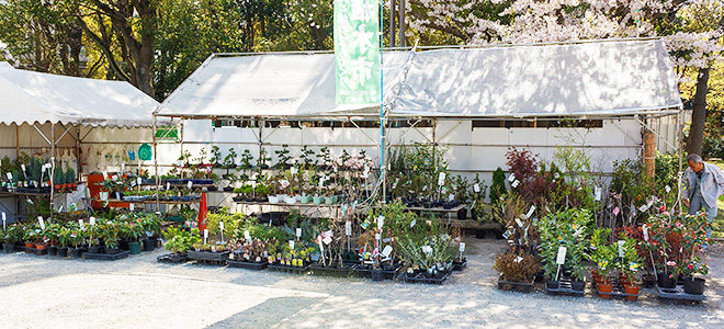 北大阪植物園