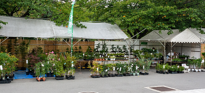 北大阪植物園