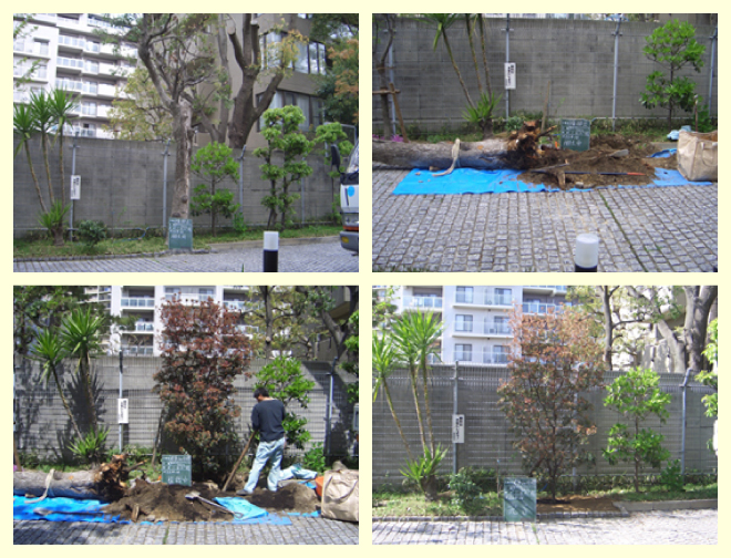 北谷北樹園