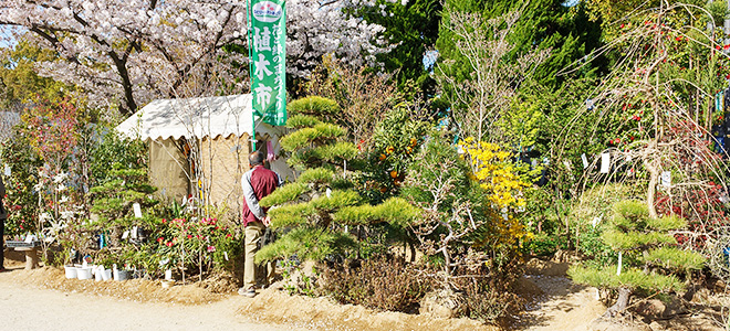 北谷北樹園