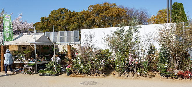 隆清園