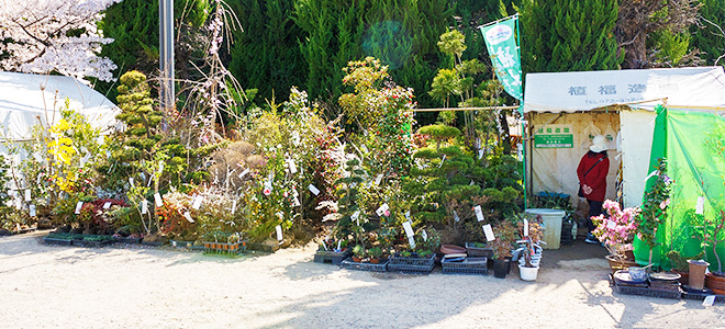 植福造園