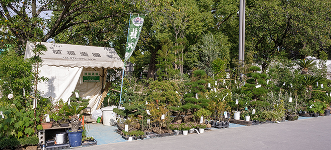 植福造園