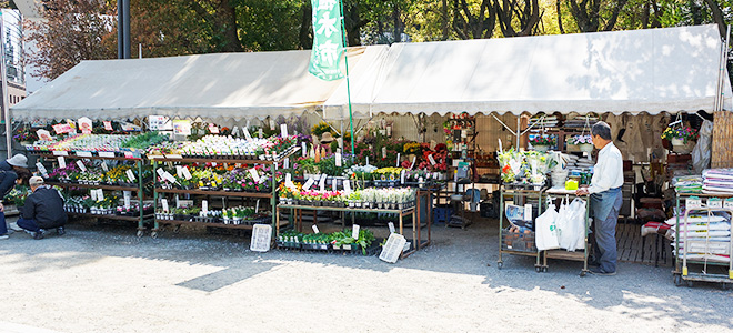 植木屋21(伊泉)