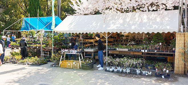 養庄園
