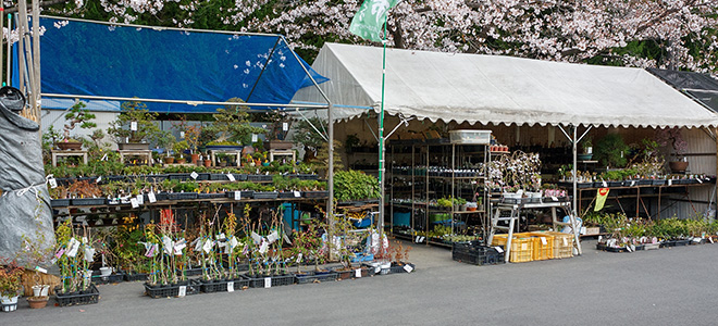 養庄園